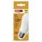 LED žiarovka Basic A60 / E27 / 15,3W (100 W) / 1521 lm / Teplá biela