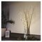 LED dekorácia - 2x brezová vetvička, 60 cm, 3x AA, IP44, teplá biela, časovač
