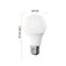 LED žiarovka Basic A60 / E27 / 8,8 W (60 W) / 806 lm / Neutrálna biela
