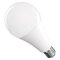 LED žiarovka Classic A80 / E27 / 20 W (150 W) / 2452 lm / Teplá biela