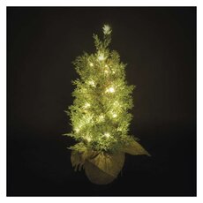 LED stromček, 50 cm, vonkajšia aj vnútorná, teplá biela, časovač