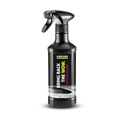 Kärcher Čistič skla RM 650 (500 ml) 6.296-105.0