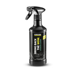 Kärcher Čistič interiéru RM 651 (500 ml) 6.296-106.0