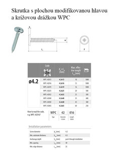 Skr RAM hlava 4.2x19 WPC