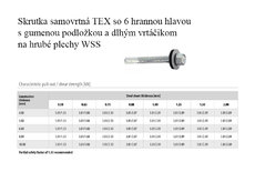 Skr TEX 5.5x32 WSS