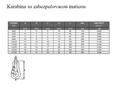 Karabina s pojistnou maticí 10 mm DIN 5299D